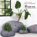 ROCK SHAPE FIBREGLASS HOME GARDEN POT FOR INDOOR & OUTDOOR USE MIXED