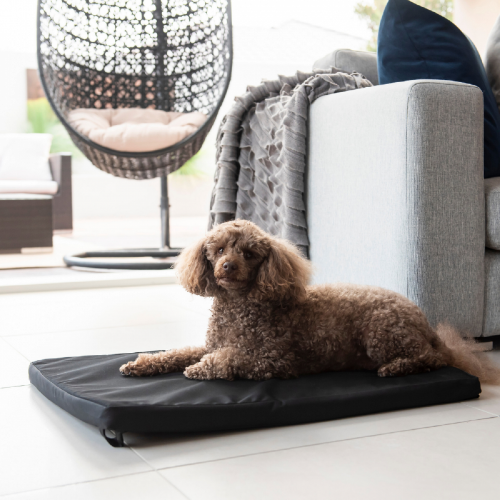 Carpet Dog Mat