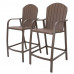 Aluminum Frame & Polywood 2PCS Bar Stools