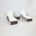 Outdoor Pool Side 3 Piece Sun Lounger 